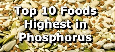 Top 10 Foods Highest in Phosphorus | Cancer fighting foods, High ...