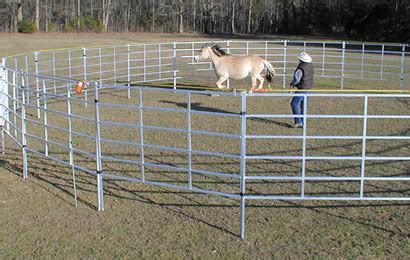 Heavy Duty Steel Horse Panels Enclose and Protect Horse