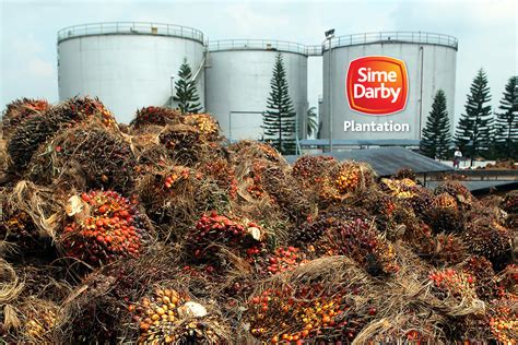 Sime Darby Plantation Sdn. Bhd. Bestari Jaya Selangor | bestarijayaku