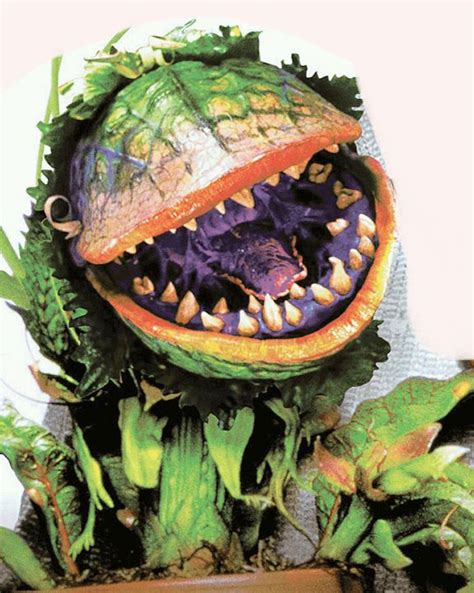 Meet Audrey II, the Iconic Man-Eating Plant from Little Shop Of Horrors