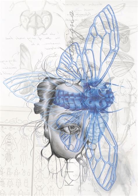 Metamorphosis Artwork, Sketchbook Work, Developing Ideas, Draft Work ...