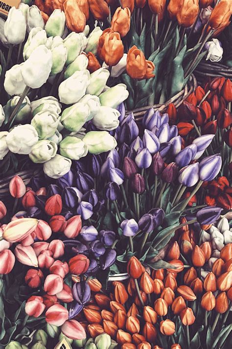 50+ Gorgeous Flower Aesthetic Wallpaper for your Iphone! - Prada & Pearls