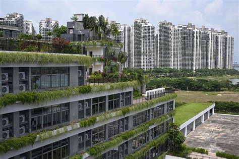 Malaysia targets expats in Singapore as Chinese-built Forest City homes ...