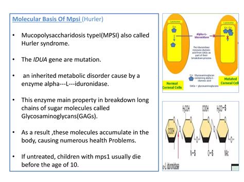 Mucopolysaccharidosis