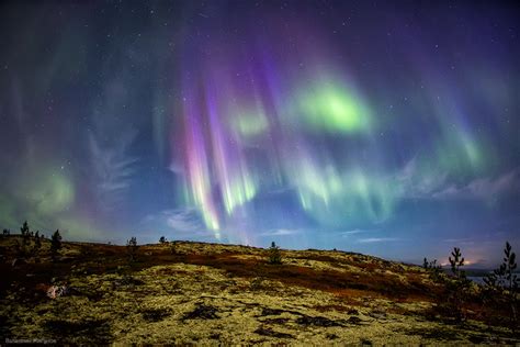 Northern lights in the sky over Murmansk region · Russia Travel Blog