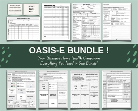 OASIS-E Cheat Sheet Ultimate Bundle, Start of Care Template, BIMS ...