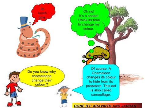 Concept Cartoons Science Ks2 Plants | kadada.org