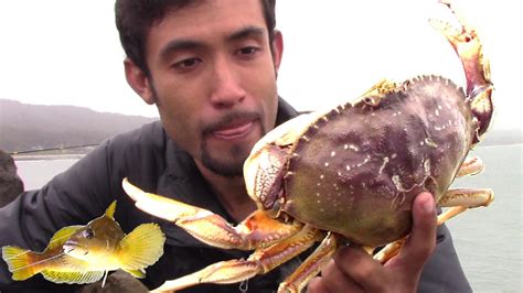 Crab Snare & Fishing Tips from a Jetty. This guy has great tips! # ...