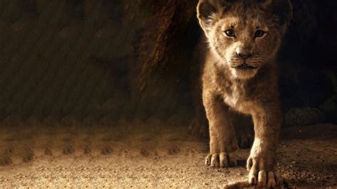 The Lion King Simba 2019 4k, HD Movies, 4k Wallpapers, Images ...