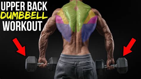 BEAST Upper Back Dumbbell Workout For MASS (3 EXERCISES!!) - YouTube