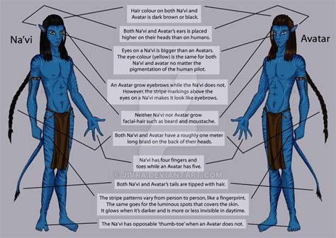 Na'vi - Avatar Guide: Basics by Jivra | Avatar, Blue avatar, Avatar movie