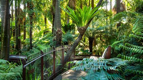 Royal Botanic Gardens Melbourne | Australia Cruise Association