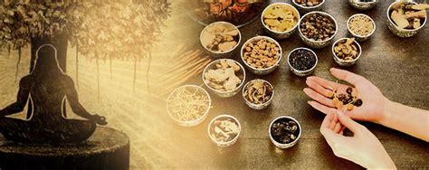 How to Start Ayurvedic Company in India | Start Herbal Marketing