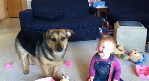 Babies Laughing at Dogs Will Brighten Your Day