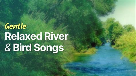 Gentle Relaxed River and Bird Songs - YouTube