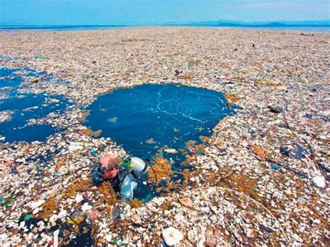 Floating Garbage Patches Grow in the Pacific Ocean - Chile Today