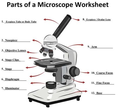 Parts of a Microscope - SmartSchool Systems