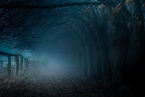 path, Mist, Trees, Fall, Fence, Sunrise, Blue, Nature, Landscape ...