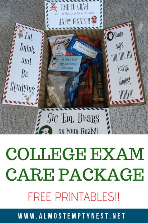 Finals Care Package Ideas | College finals care package, College finals ...