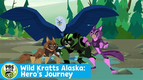 Wild Kratts PBS Kids Go