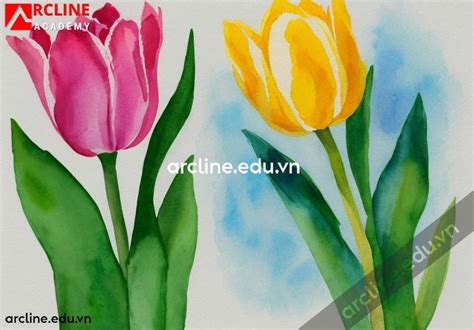 Hướng dẫn các bước vẽ hoa tulip bằng màu nước | ArcLine Academy