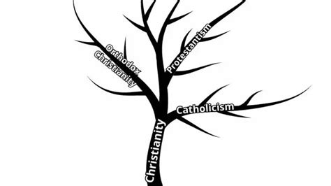 Christian vs Catholic: The Key Distinctions Explained – AllDifferences