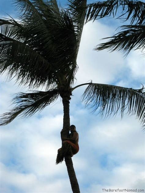 A Tacky Good Time at the Hale Koa Luau in Waikiki