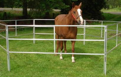 6 square pipe corral panels are connected to enclose a horse on grassland