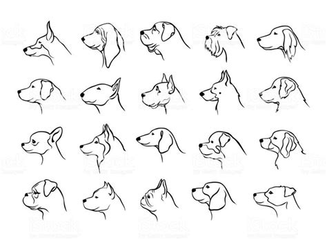 a set of dogs'heads in different poses