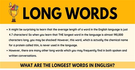 Longest Words in English: 19 Unusually Long Words • 7ESL