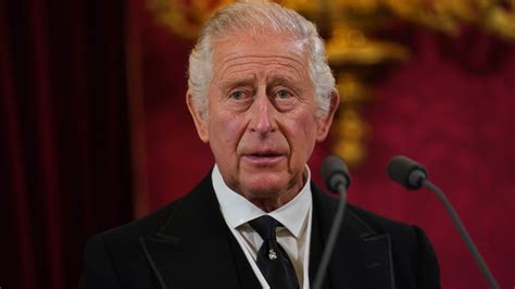 King Charles III Officially Proclaimed Monarch: Read Speech | Us Weekly