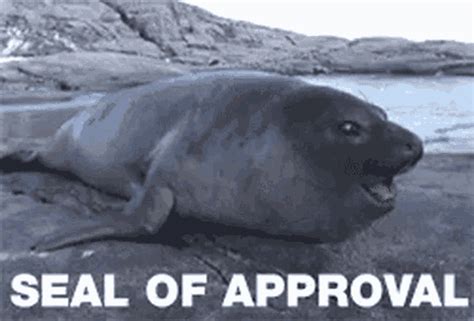 Seal Seal Of Approval GIF - Seal Seal Of Approval Approval - Discover ...