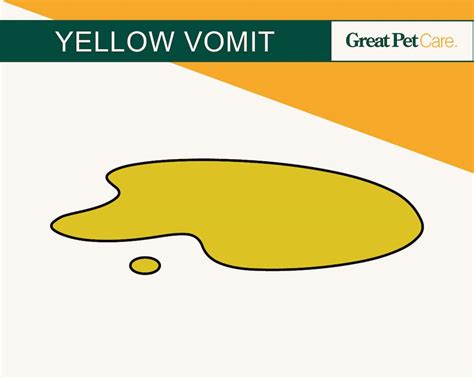 Dog Vomit Color Guide: What Different Shades Mean | Great Pet Care