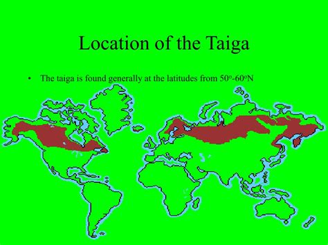 PPT - Taiga PowerPoint Presentation, free download - ID:4279139