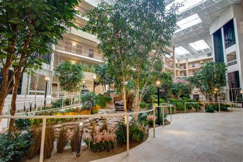 Indoor Atrium Trees & Plants at Senior Living Community | TreeScapes ...