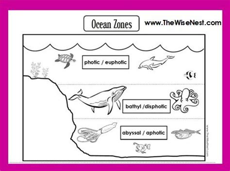 Ocean Zones to Label and Color - The Wise Nest