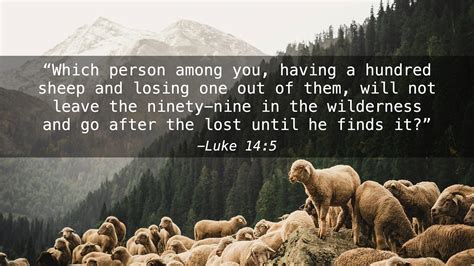 Parable Of The Lost Sheep Meaning