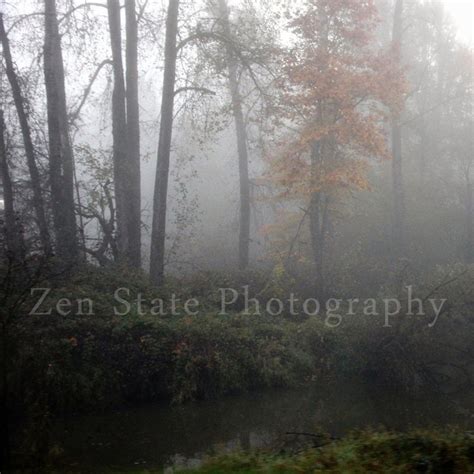 Foggy Forest Photograph. Nature Photography Print. Creek Photo Wall Art ...