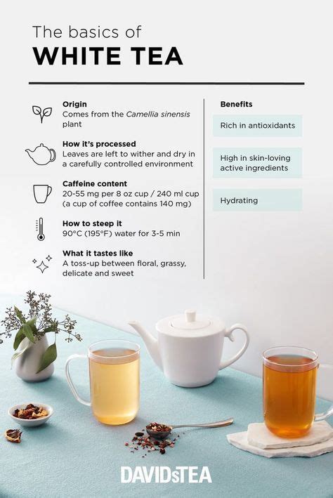 Tea 101: What is White tea? in 2024 | Tea blends recipes, Tea drink ...