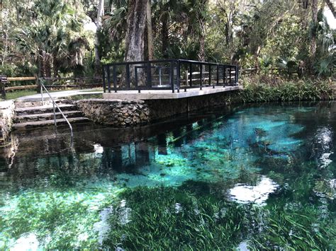 Juniper Springs, Florida | Ocala national forest, Florida vacation ...