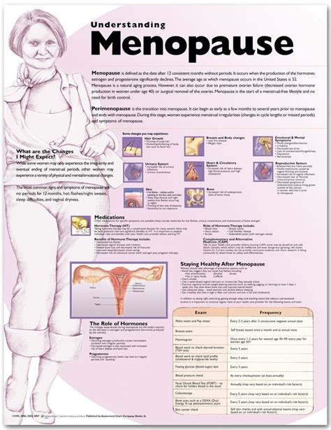 Pin on Symptoms of Menopause and Perimenopause