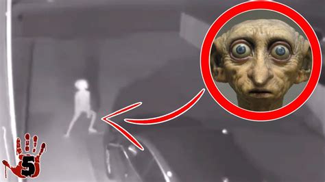 Creepy Creatures Caught On Tape