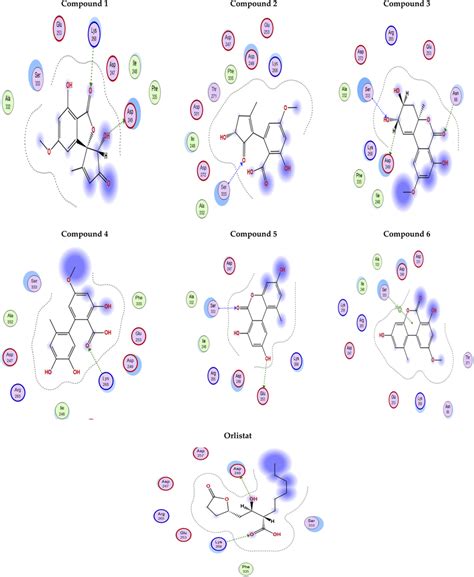 Interaction surface based on van der Waals radius with isolated ...