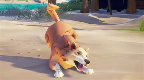 Sea of Thieves is adding dogs in its next update | PC Gamer