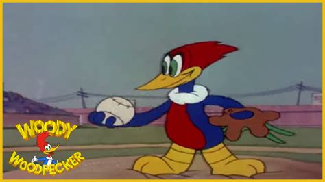 Woody Woodpecker | The Screwball | Full Episodes - YouTube