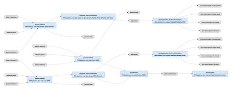 Bulk RNA-seq Data Standards and Processing Pipeline – ENCODE