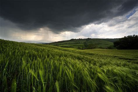 Biomas terrestres: La Pradera | LaReserva.com