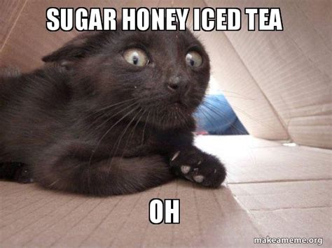 Sugar Honey Iced Tea Oh - Schitzo Cat Meme Generator