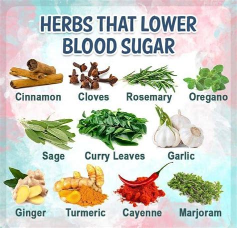 Blood Sugar Low Control: how to reduce blood sugar with herbs - Proven Tips