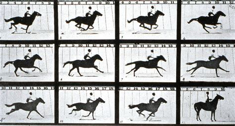 Eadweard Muybridge - Santiago LLobet Photography